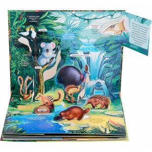 Книга 9785001347323 POP-UP энциклопедия. Джунгли книжка панорамка (интегральная)