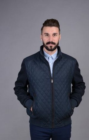Куртка мужская деми  Р-855 т.синий