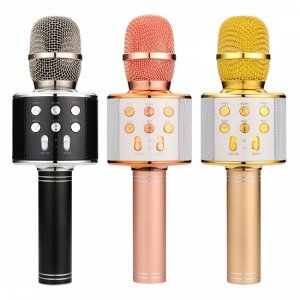 Пой, танцуй, развлекайся! Беспроводной караоке микрофон, колонка Bluetooth со встроенным динамиком, 4 голосовых фильтра, слот USB, порт для Micro CD