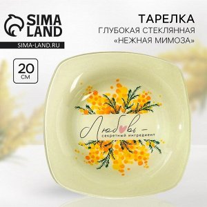 Тарелка суповая стеклянная «Секретный ингредиент», 20x20 см