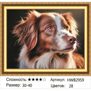 Алмазная мозаика 30х40 см