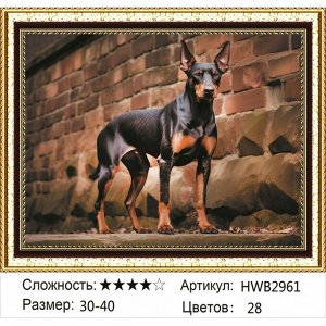 Алмазная мозаика 30х40 см