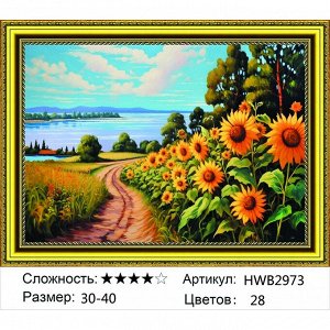 Алмазная мозаика 30х40 см