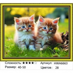 Мозаика круглая 40х50