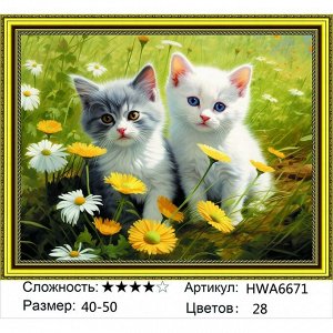 PAITING DIAMOND алмазная мозаика Мозаика круглая 40х50
