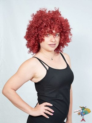 парик Дана кудри, бордо (39#)