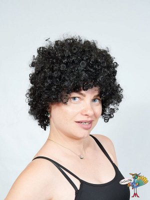 парик Дана кудри, черный (1B)