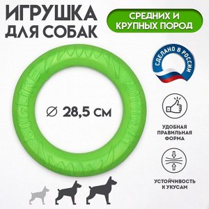 Кольцо "ДогЛайк" D-2612,  8-мигранное, среднее ? 28,5см , зелёное