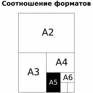 Тетрадь школьная 12л., ЛИНИЯ BG ""Первоклассная"", светло-сиреневая