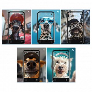 Тетрадь 48л., А5, клетка BG ""Selfie"", матовая ламинация