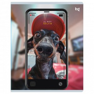 Тетрадь 48л., А5, клетка BG ""Selfie"", матовая ламинация