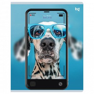 Тетрадь 48л., А5, клетка BG ""Selfie"", матовая ламинация