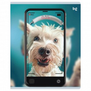 Тетрадь 48л., А5, клетка BG ""Selfie"", матовая ламинация