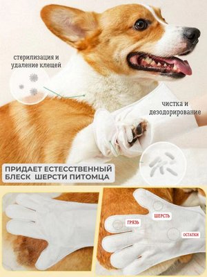 Влажные перчатки для животных одноразовые, уп 6шт