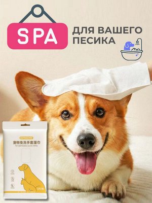 Влажные перчатки для животных одноразовые, уп 6шт