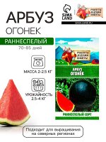 Семена Арбуз &quot;Огонек&quot;, 0,5 г