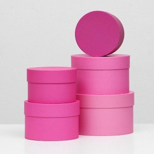 Набор круглых коробок 5 в 1 "Пантон 230 - о", 23x23x14 - 15x15x10 см
