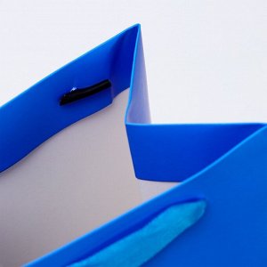 Пакет подарочный под бутылку «Мускари», 13x36x10 см