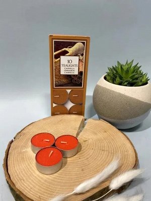 "Petali" Набор свечей-таблеток "Корица" 10шт.