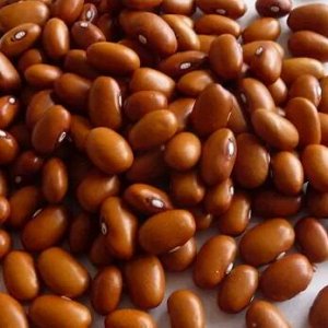 Фасоль Шоколадница (зерновая)  3 шт