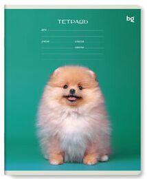 Тетрадь школьная 12л., ЛИНИЯ BG ""Little animal""