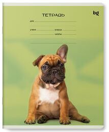 Тетрадь школьная 12л., ЛИНИЯ BG ""Little animal""