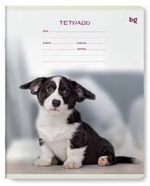 Тетрадь школьная 12л., ЛИНИЯ BG ""Little animal""