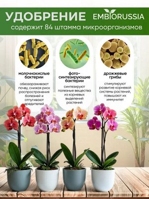 ЕМ-технология ЭМ-Реаниматор для комнатных растений