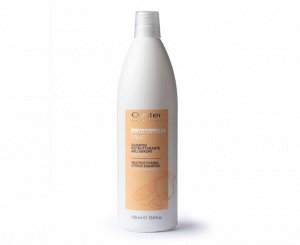 Восстанавливающий шампунь с экстрактом цитрусовых 1000ml SUBLIME FRUIT