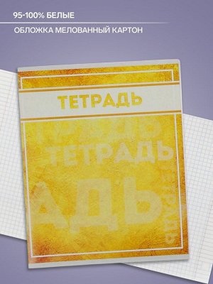 Тетрадь, 48 листов в клетку, Calligrata «Фактура-2», МИКС
