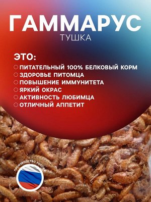 Корм для рыб и черепах "Пижон" гаммарус тушка, 15 г