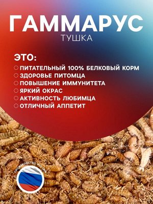Корм для рыб и черепах "Пижон" гаммарус тушка, 100 г