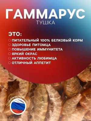 Корм для рыб и черепах "Пижон" гаммарус тушка, ведро, 1 л