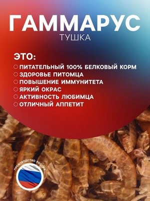 Корм для рыб и черепах "Пижон" гаммарус тушка, ведро, 2 л