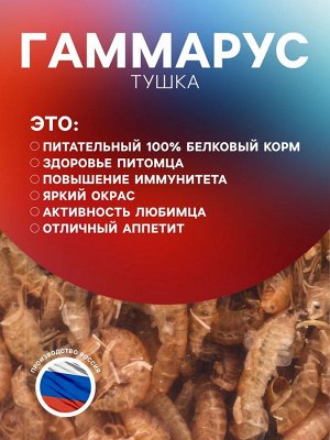 Корм для рыб и черепах "Пижон" гаммарус тушка, ведро, 5,8 л