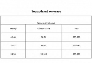 Термобельё мужское НАЧЁС (кальсоны), цвет чёрный 48-50