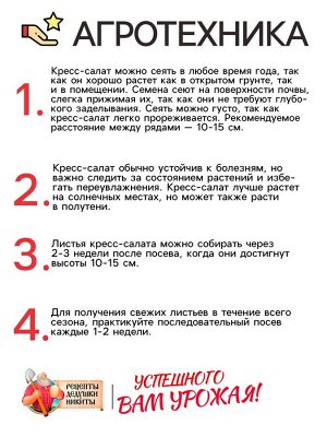 Семена Шпинат "Родео", 2 г