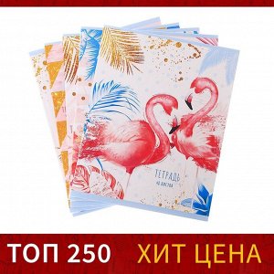 Тетрадь 48 листов в клетку Calligrata «Фламинго», обложка мелованный картон, УФ-лак, блок офсет, МИКС