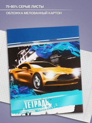 Тетрадь 48 листов в клетку, Calligrata «Авто», обложка мелованный картон, серые листы, МИКС