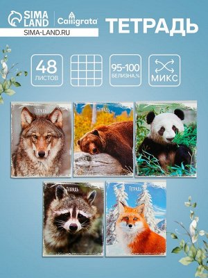 Тетрадь 48 листов в клетку, Calligrata «Дикие животные», МИКС