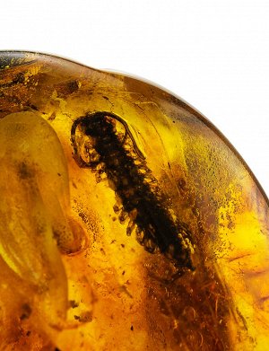 Уникальный кусочек натурального янтаря с крупным инклюзом насекомого, 701302198