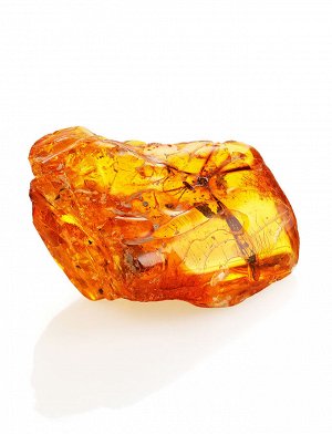 Кусок натурального янтаря с уникальным крупным инклюзом, 901307042