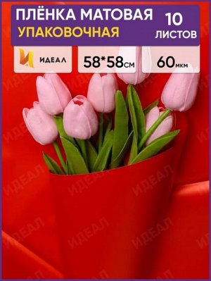Ленка Листами Матовая однотон Красная 58/58см (1уп/10шт)
