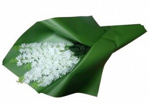Пленка Листами Матовая однотон Зелёная 58/58см (1уп/10шт