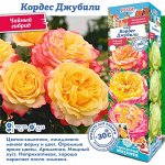Роза Кордес Джубили (Чайно-гибридная) 2 разбор 1шт (Сиб сад)