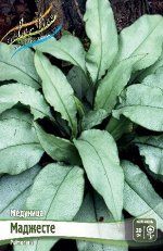 Медуница (Pulmonaria) Маджесте