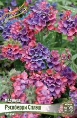 Медуница (Pulmonaria) Рэспберри Сплэш
