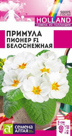 Цветы Примула Пионер Белоснежная/Сем Алт/цп 5 шт двулетник Голландия