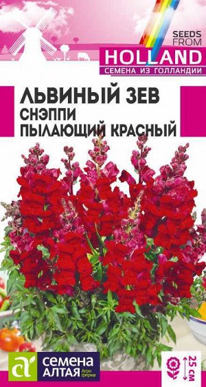 Львиный зев Снэппи Пылающий красный/Сем Алт/цп 7 шт ГОЛЛАНДИЯ
