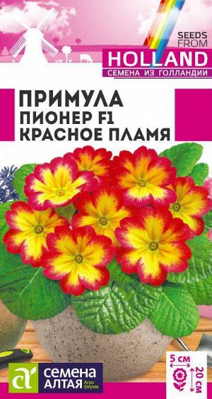 Примула Пионер Красное пламя/Сем Алт/цп 5 шт двулетник ГОЛЛАНДИЯ